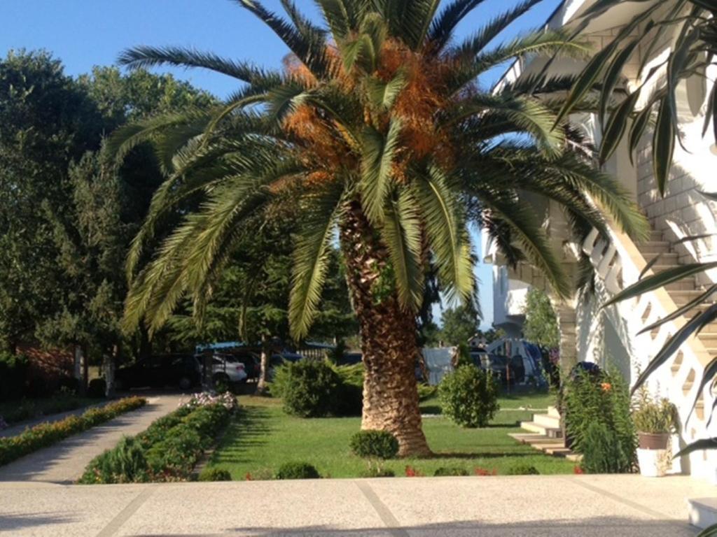 Hotel Comfort Ulcinj Exterior photo